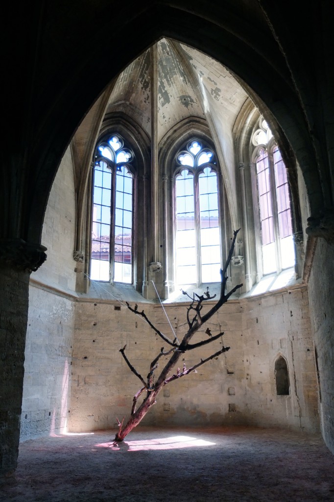 Danse macabre, 2014, installation, dimensions variables, arbre mort, pigeons morts.