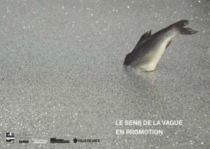 affiche le sens de la vague