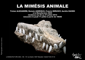 affiche mimésis animal 2