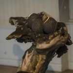 _dsc1219
